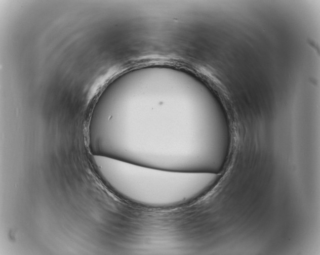 X0000103301357200808291121