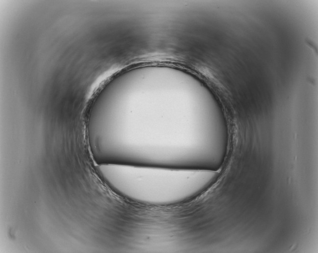 X0000103301358200808291121