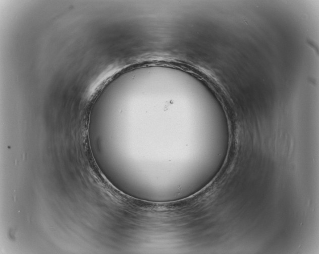 X0000103301359200808291121