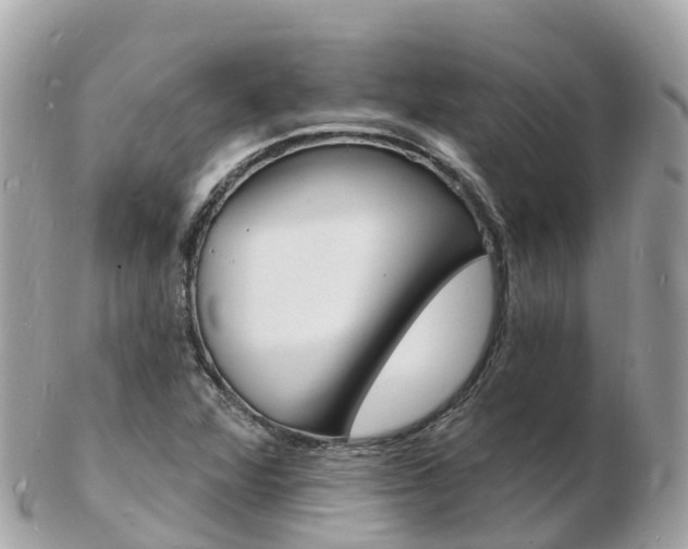 X0000103301360200808291121