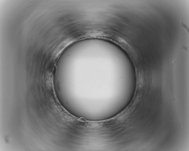 X0000103301361200808291121