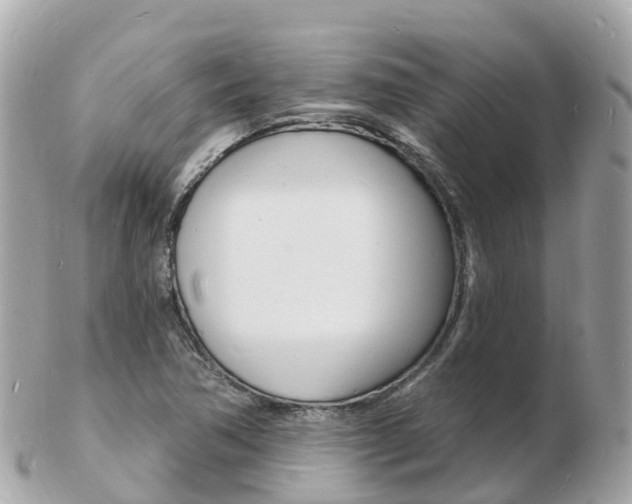 X0000103301362200808291121