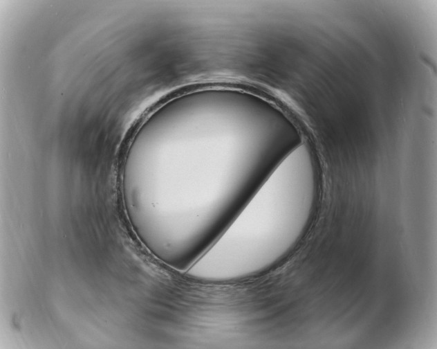 X0000103301364200808291121