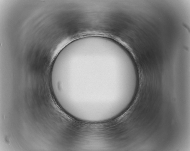 X0000103301365200808291121