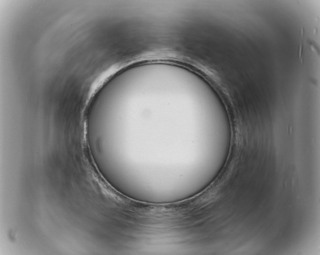 X0000103301366200808291121