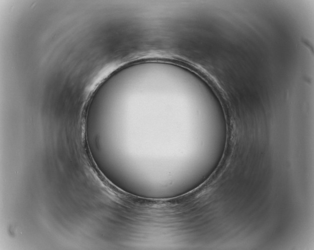 X0000103301367200808291121