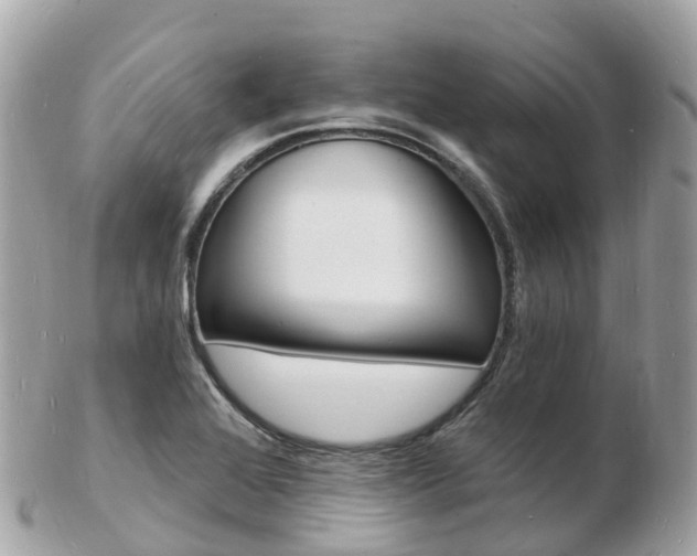X0000103301368200808291121