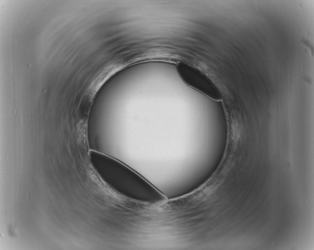 X0000103301369200808291121