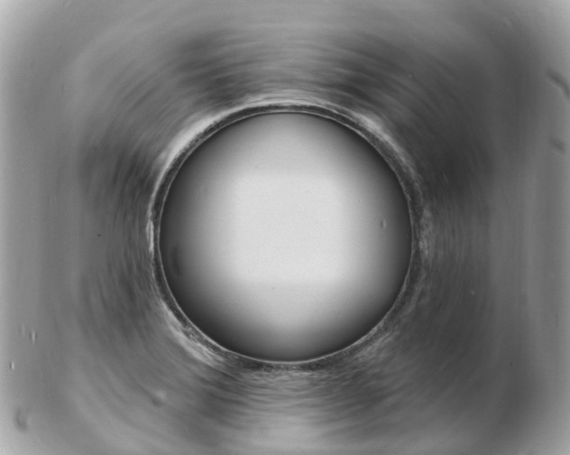 X0000103301372200808291121