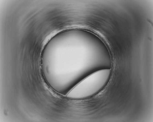 X0000103301373200808291121