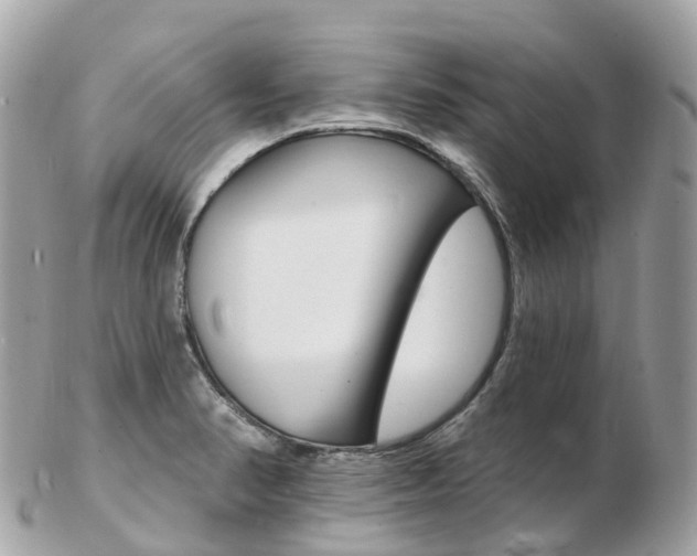 X0000103301374200808291121