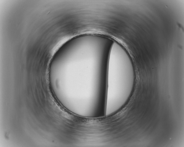 X0000103301375200808291121
