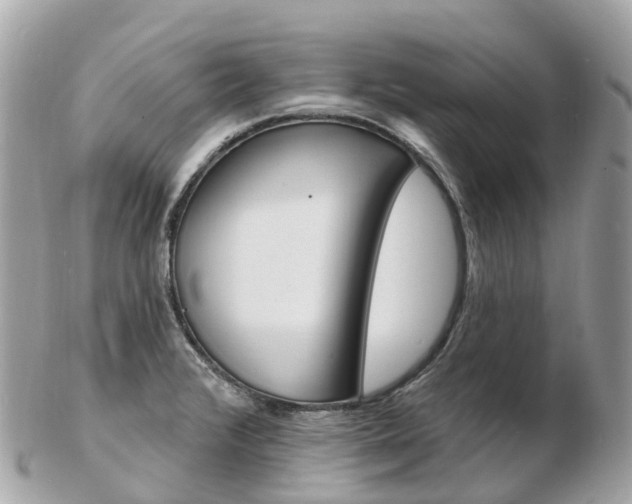 X0000103301376200808291121