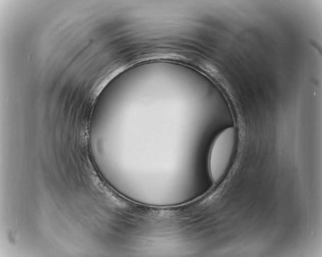 X0000103301377200808291121