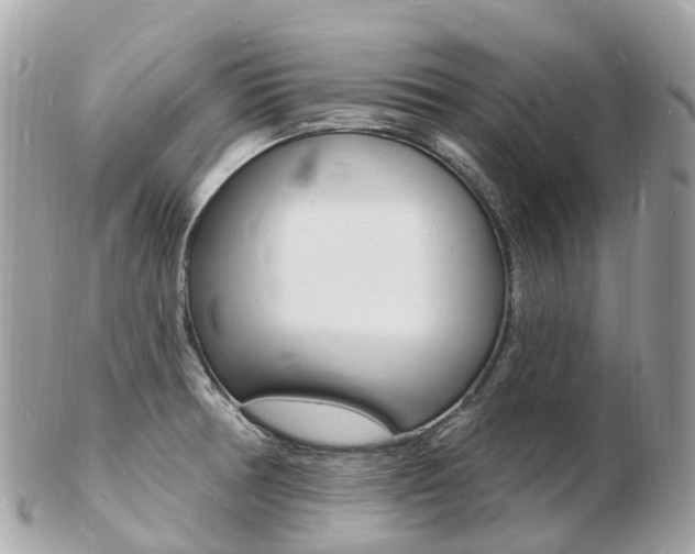 X0000103301378200808291121