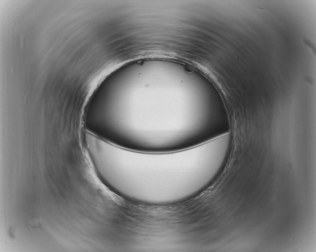 X0000103301379200808291121