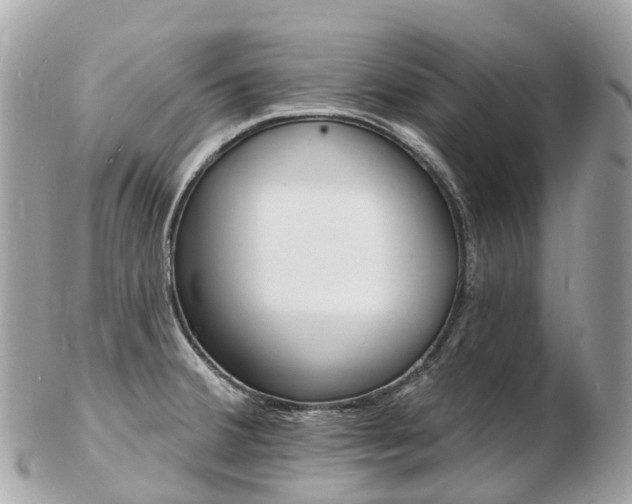 X0000103301380200808291121