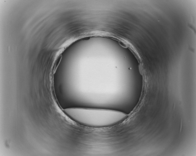 X0000103301381200808291121
