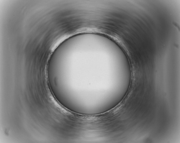 X0000103301382200808291121