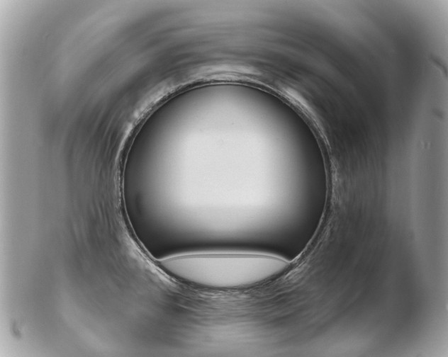 X0000103301384200808291121