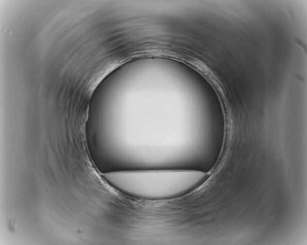 X0000103301385200808291120