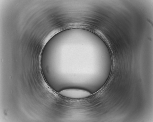X0000103301386200808291120