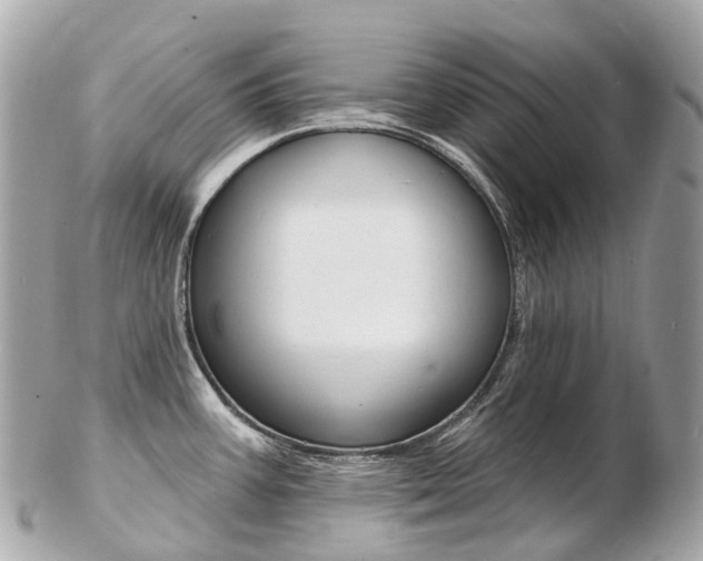 X0000103301387200808291120