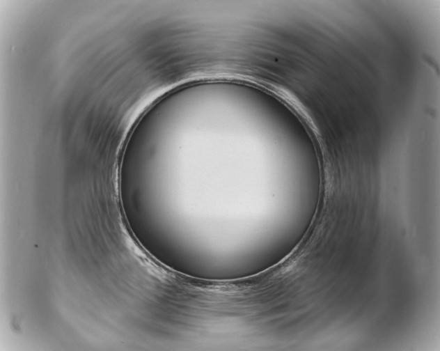 X0000103301388200808291120