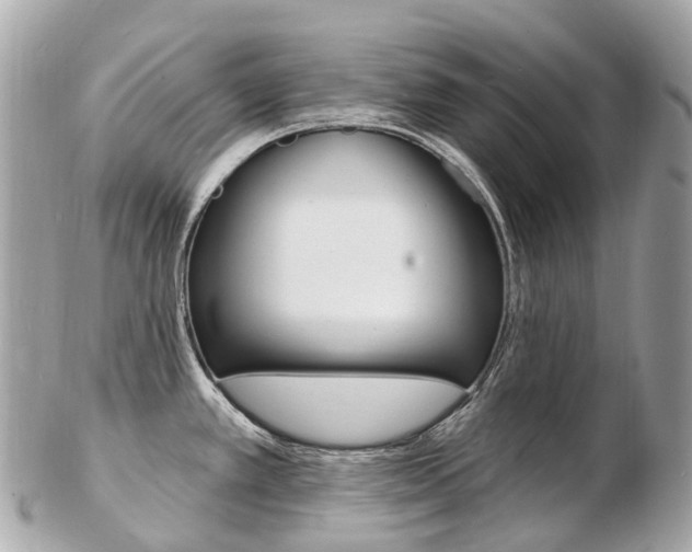 X0000103301389200808291120