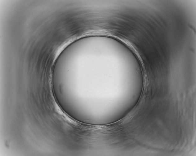 X0000103301390200808291120