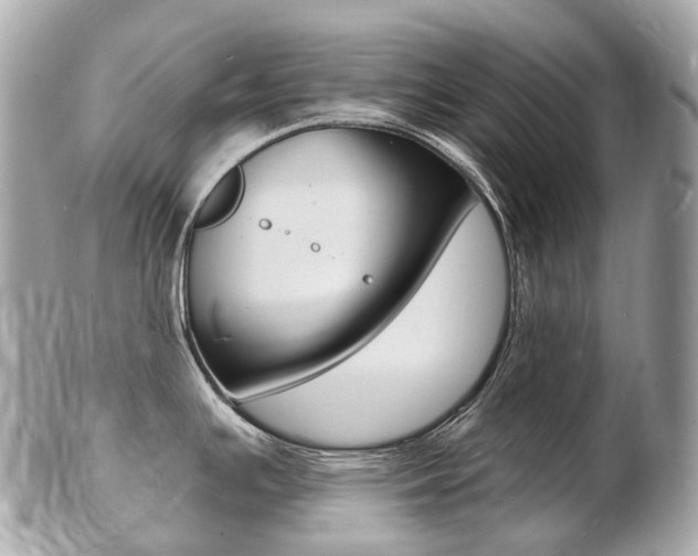 X0000103301391200808291120