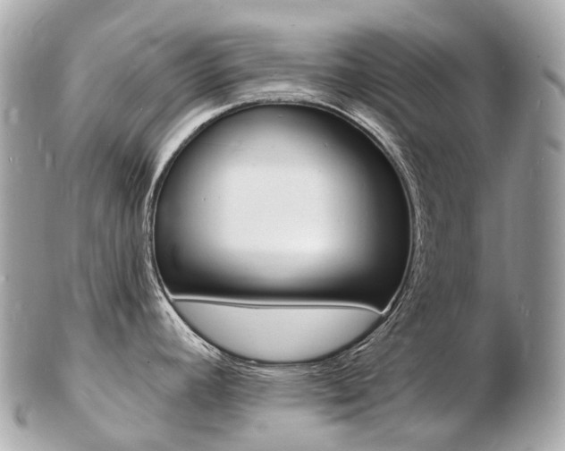 X0000103301392200808291120