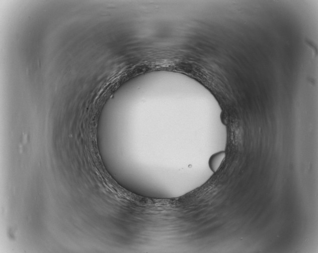 X0000103301393200808291120