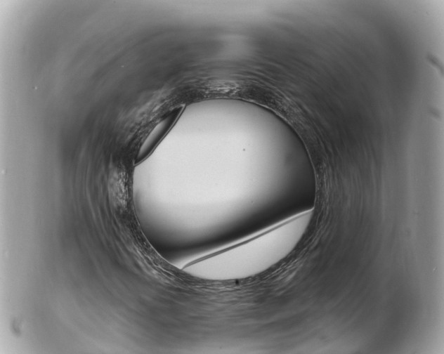 X0000103301394200808291120