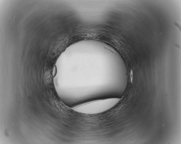 X0000103301395200808291120
