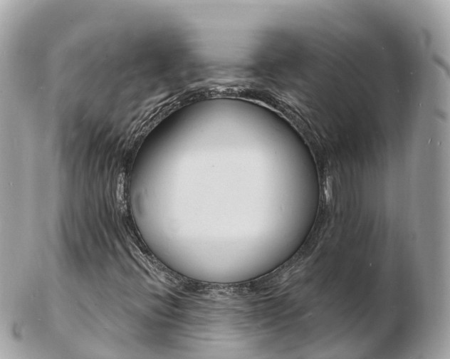 X0000103301396200808291120