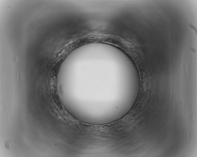 X0000103301397200808291120
