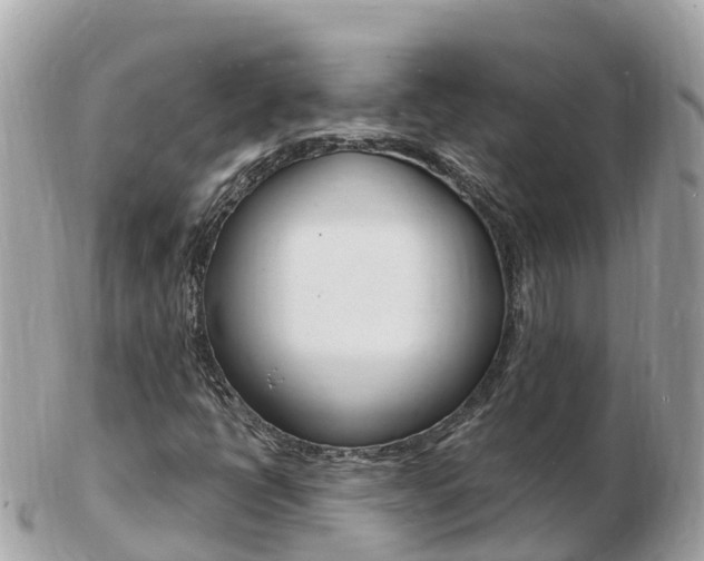 X0000103301398200808291120