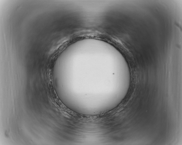X0000103301399200808291120