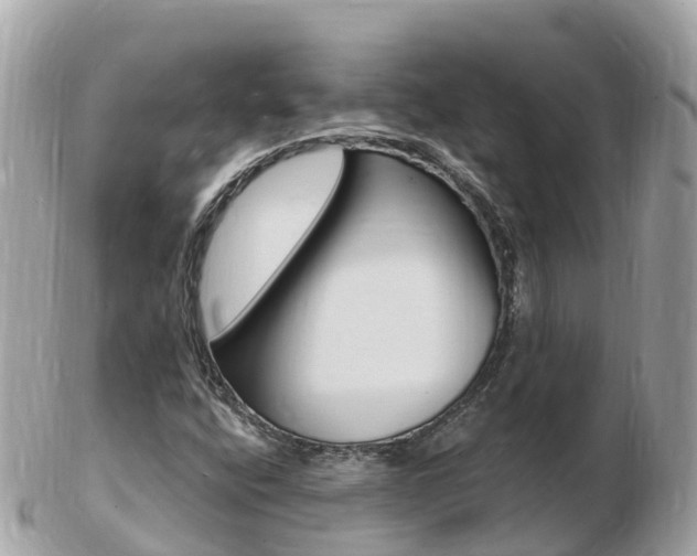 X0000103301400200808291120