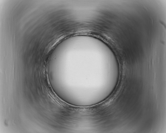 X0000103301401200808291120