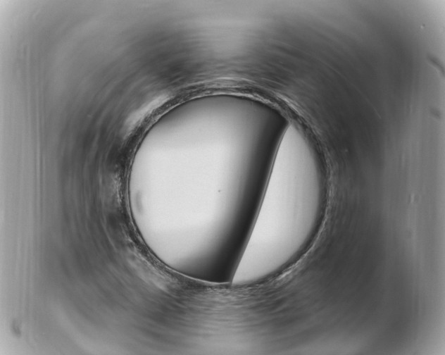 X0000103301402200808291120