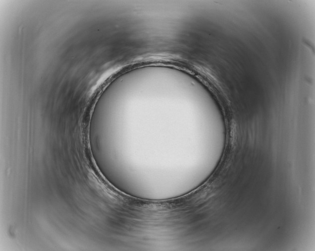 X0000103301404200808291120