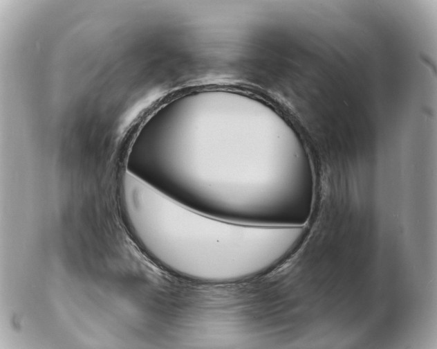 X0000103301406200808291120