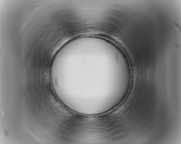 X0000103301409200808291120