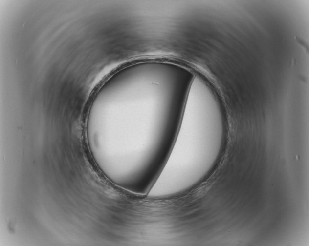 X0000103301412200808291120