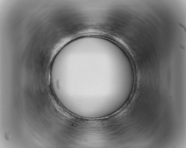 X0000103301413200808291120