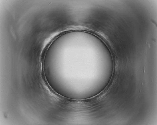 X0000103301414200808291120