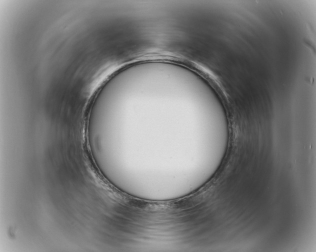X0000103301415200808291120