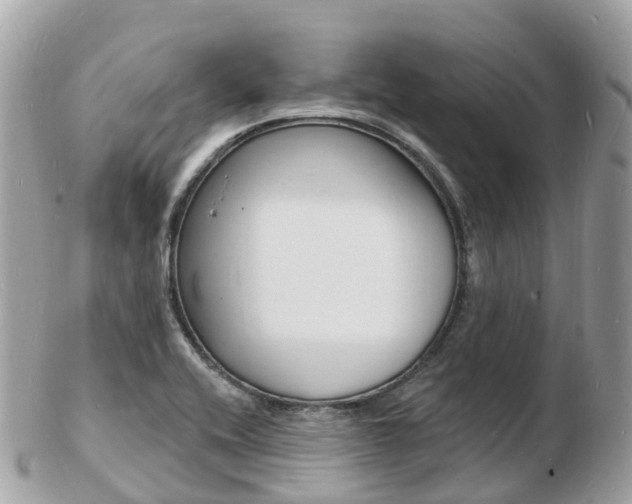 X0000103301416200808291120